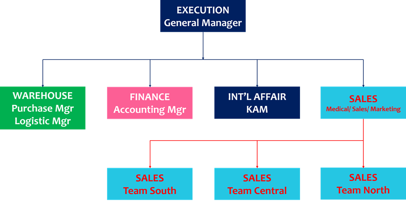 Company Structure