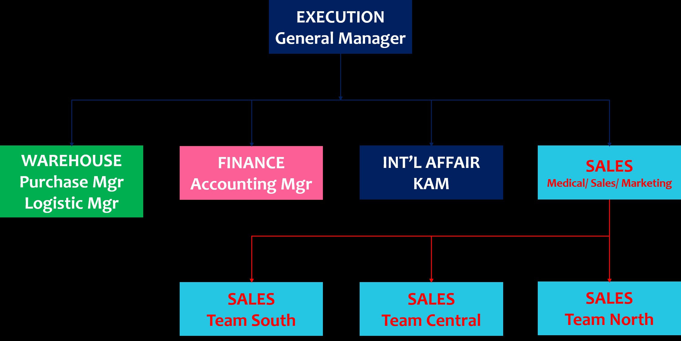 Awesome Medical Inc. organization chart